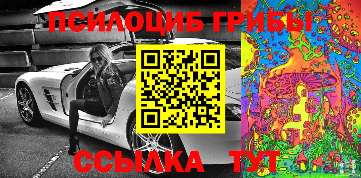 Галлюциногенные грибы MAGIC MUSHROOMS  Вход с VPN  Новосибирск  Псилоцибиновые грибы Cubensis 