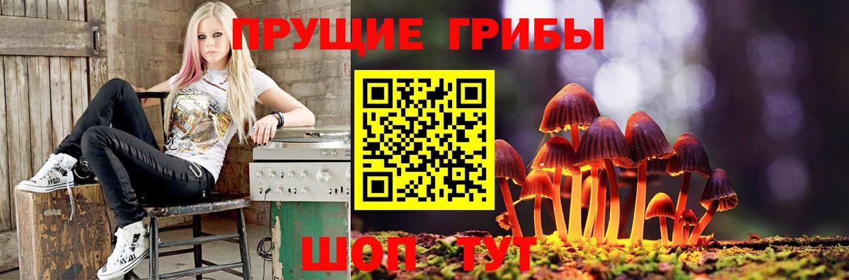 APVP Новосибирск